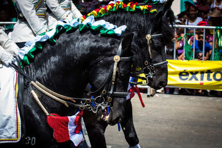 Barranquilla, Colombia - March 1, 2014- Mounted police ride the parade during the Battalla de Flores. Carnival de Barranquillaのeditorial素材