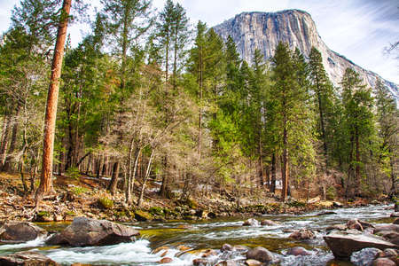 El Capitan towers above the valley floor. View from the Merced River, Yosemite National Park, California. USAの写真素材