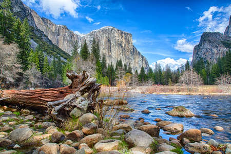 El Capitan towers above the valley floor. View from the Merced River, Yosemite National Park, California. USAの写真素材