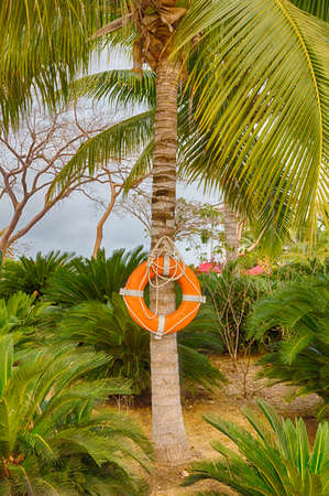 Life rings stand at the ready along the beach at a Caribbean resort.の写真素材