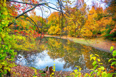 The changing leaves bring splashes of color to the parks and streams in Medford, NJ.の写真素材