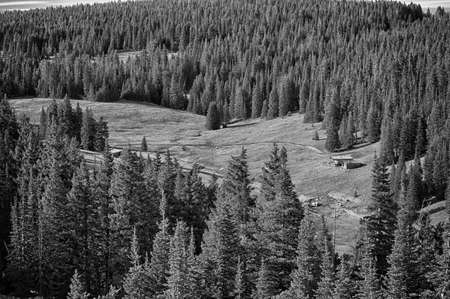 An historic log cabin in the Pryor Mountains outside Lovell, Wyoming.の写真素材