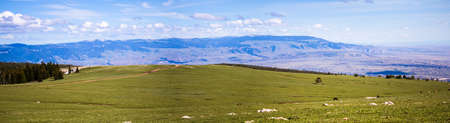 Wild horses range the Pryor Mountains outside Lovell, Wyoming.の写真素材