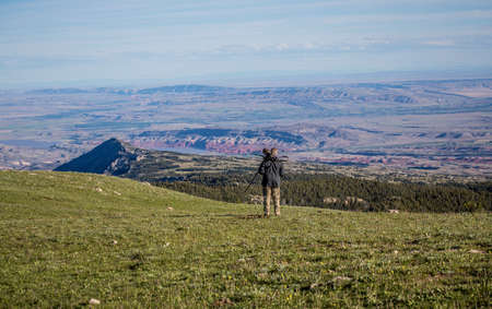 Wild horses range the Pryor Mountains outside Lovell, Wyoming.