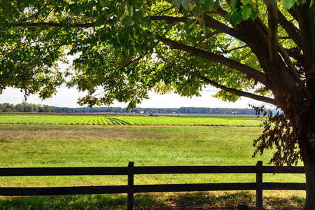 A farm in Southern New Jersey during the fall harvest.の写真素材