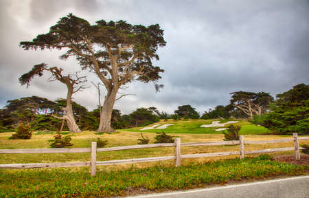 Landscape along the famous 17 Mile Drive in northern California near Carmel.の写真素材