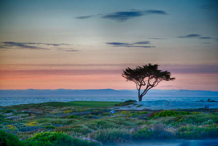 Golf course on the famous 17 mile drive near Pebble Beach, California.の写真素材