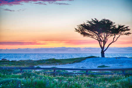 Golf course on the famous 17 mile drive near Pebble Beach, California.の写真素材