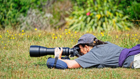 Female nature photographer lying on the ground on Tiritiri Matangi Island open nature reserve, New Zealand.のeditorial素材