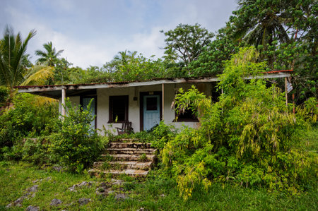 One of many abandoned houses being reclaimed by nature on the south pacific island of Niue.のeditorial素材