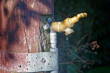 A brass tap attached to a wooden post in a garden, dripping.の写真素材