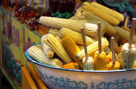 fair cornのeditorial素材