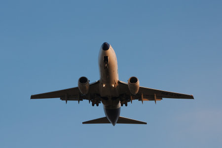 BUDAPEST, HUNGARY - MARCH 23, 2011: Malev Boeing 737-700 HA-LOP short before landing at Ferihegy...