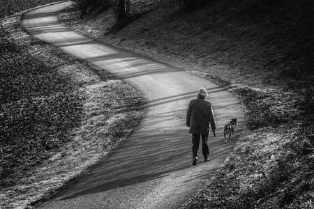Morning walk with the dog - artistic black and white photo.の写真素材
