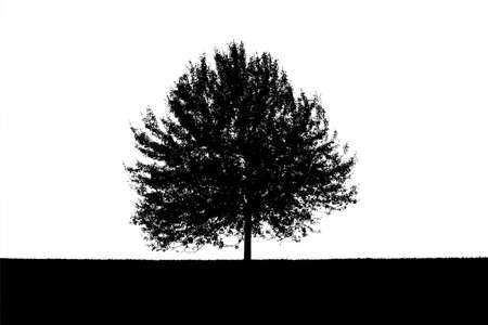 Black and white silhouette of a lonely tree.の写真素材
