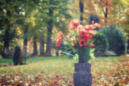 Bouquet of poppy flowers in a sunny autumn cemetery. Peace, tranquility, remembrance concept.