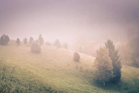 Surreal, romantic sunrise at the misty, foggy countryside.