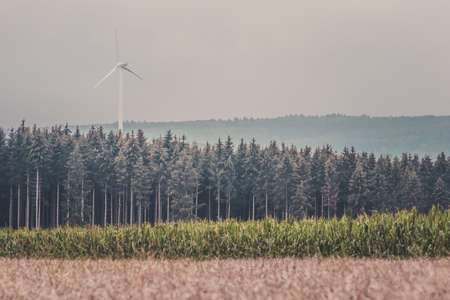 Dark autumn landscape with layers of different plants and a wind turbine.の写真素材