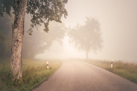 Foggy road in the misty forest at late autumn. Wesather, nature background concept.の写真素材