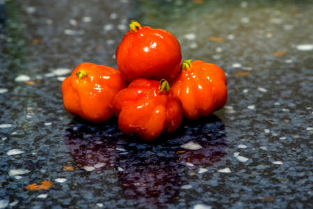 Some pitanga fruit in the kitchenの写真素材