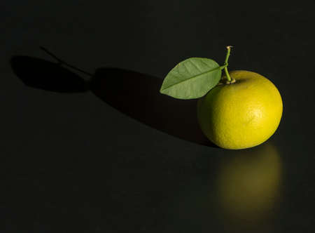 yellow grapefruit with green leafの写真素材