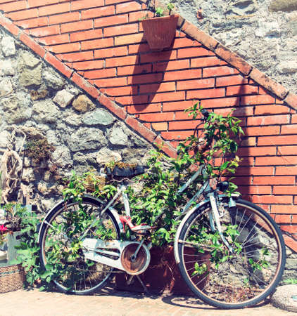 bike on the wallの写真素材