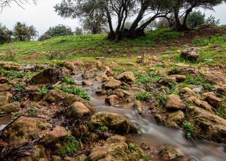 north of Israel - on a dramatic winter day with cloudy gray skyの写真素材