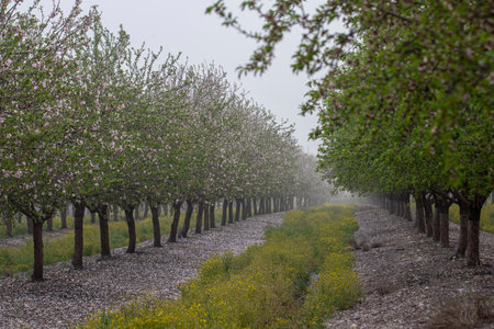 on a dramatic winter day with cloudy gray skyの写真素材
