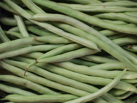 Fresh and green string beanの写真素材