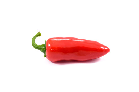 Red ripe jalapeno chili hot pepper from caribbean or mexico isolated on white background