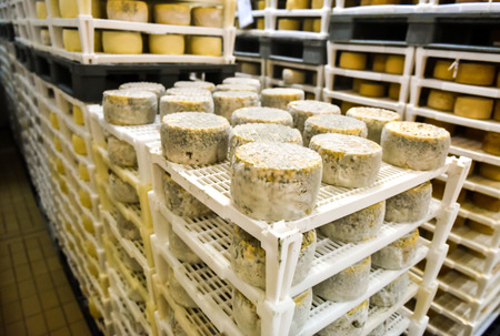 Cheese factory warehouse with shelves stacked with rows of cheese.の写真素材