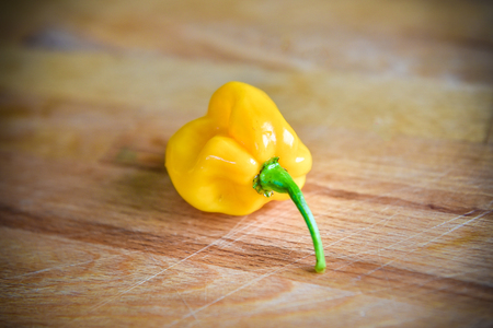 Yellow orange ripe habanero hot chili peppers on a wooden plate from caribbean or mexico. On a wooden cutting deskの写真素材