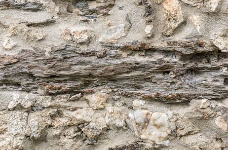 Natural gray pavement stone texture for floor, wall or path. Traditional fence, court, backyard or road paving.の写真素材