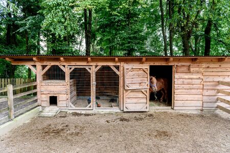 Mini ZOO with home stables, barn horses and chicken. Miniature petting ZOO in nature.の写真素材