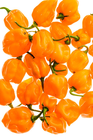 Bunch of Yellow orange ripe habanero hot chili peppers. Isolated on white.の写真素材