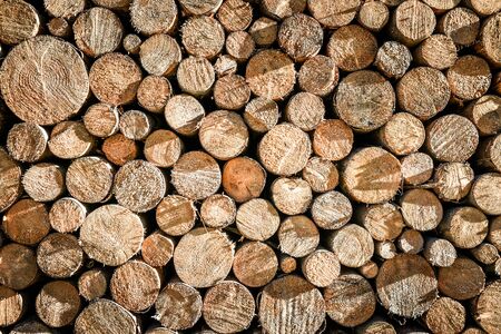 Pile or stack of natural fire wood logs texture background. Abstract photo of natural wooden logs texture.の写真素材