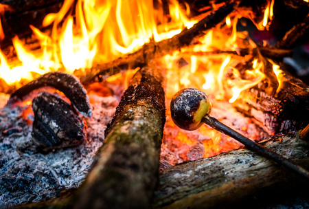 Making and cooking grilled apple over open camp fire. Grilling food over flames of bonfire on wooden branch - stick spears in nature at night. Scouts way of preparing food.の写真素材