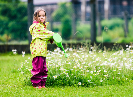 Small girl child is gardening and watering daisies in backyard. Active children are helping with home gardening and taking care of the lawn.の写真素材