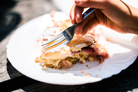 Children eating cheese and cherry strudel with sugar on top. Child's hand with fork is eating...
