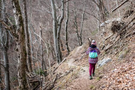 Children hiking in the mountains or woods on family trip. Active family, parents and children mountaineering in the nature. Kids are walking in woods trail road in cold winter time.の写真素材