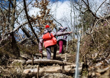 Children hiking in the mountains or woods on family trip. Active family, parents and children...