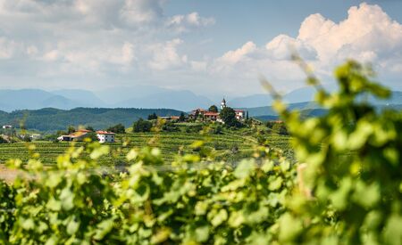 View of famous wine region Goriska Brda hills in Slovenia. Panoramic photo of villages of Gorica...