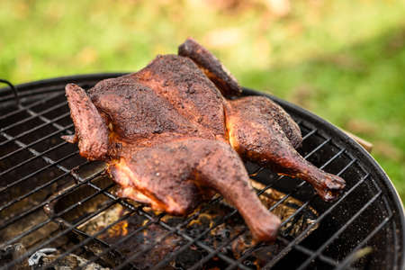 Traditional spatchcocked barbecue chicken al mattone on charcoal grill. Grilling and smoking spatchcock chicken outdoors on firewood BBQ grill in nature on family picnic.の写真素材