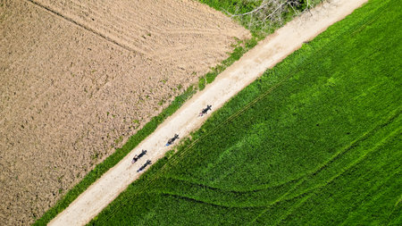 Family on a bicycle trip in nature with mountain bikes. Active family on biking vacation in Italy near Lake Garda is exploring gravel roads through fields and meadows.の写真素材