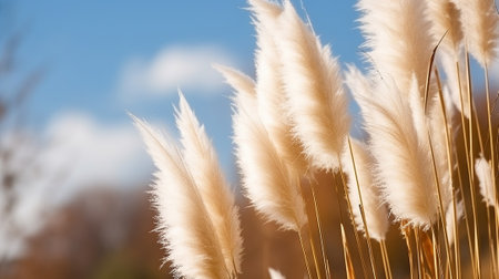 Reveling in the Brilliance of Pampa Grass in Sunlight. Generative AIの素材