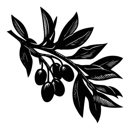 This black and white illustration showcases a detailed olive branch, featuring leaves and fruits, perfect for agricultural or culinary themes in design projects.のイラスト素材