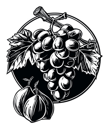 A finely detailed monochrome illustration showcasing clusters of grapes and figs, emphasizing their textures and natural beauty in a stylish composition.のイラスト素材