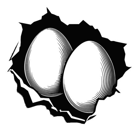 A striking black and white illustration of a cracked shell revealing two unhatched eggs. This artistic engraving captures themes of nature, growth, and potential life inside.のイラスト素材