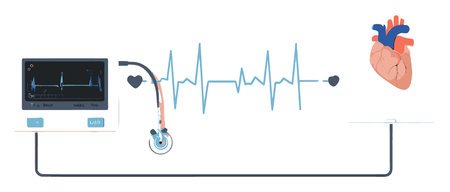 Vector illustration of a heartbeat monitor, stethoscope, and heart anatomy. Perfect for healthcare...