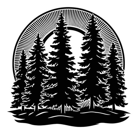 A striking engraving featuring tall pine trees silhouetted against a radiant sun. This artwork embodies nature's beauty, perfect for various design projects.のイラスト素材